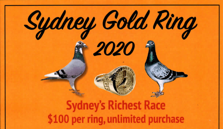 Sydney Gold Ring 2020